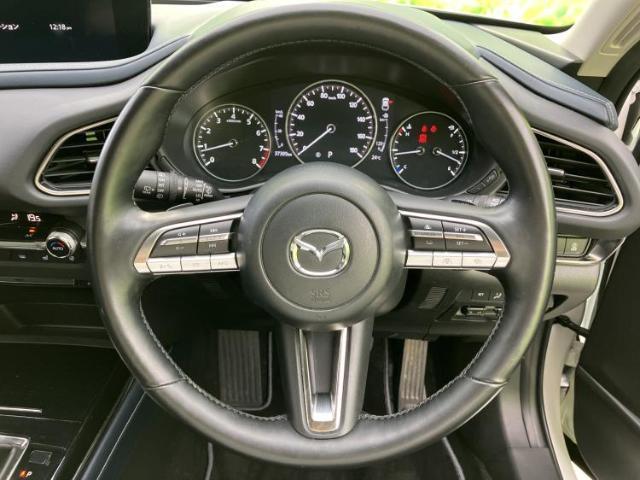 マツダ CX-30 4WD  20Sプロアクティブツーリングセレクション 2022 sat-0065796-14
