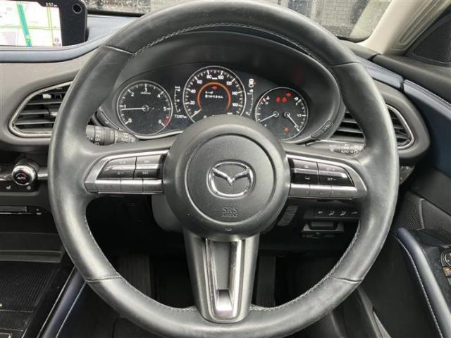 マツダ CX-30 XD 2020 sat-0066343-10