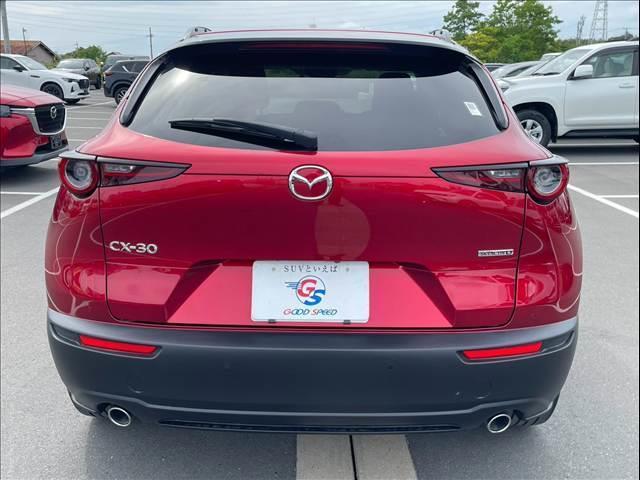 マツダ CX-30 XD Proactive Touring Selection 2019 sat-0067421-15