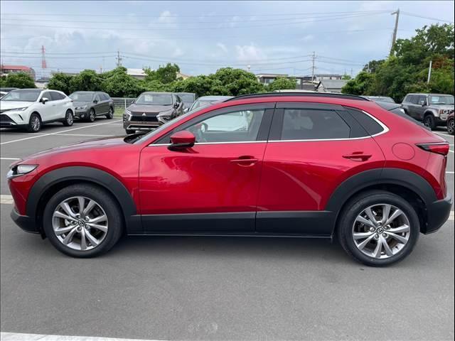 マツダ CX-30 XD Proactive Touring Selection 2019 sat-0067421-16