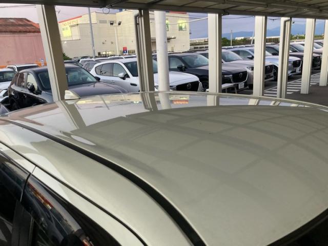 トヨタ ライズ ﾊｲﾌﾞﾘｯﾄﾞZ 2022 sat-0049443-13