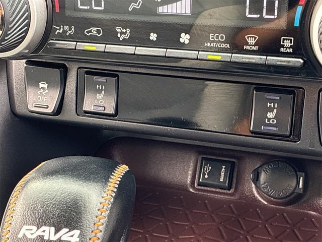 トヨタ RAV4 G 2019 sat-0064612-10