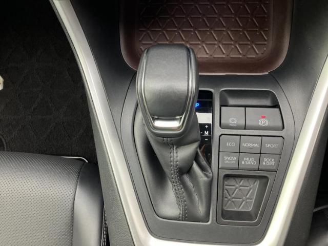 トヨタ RAV4 4WD_G 2022 sat-0065577-17