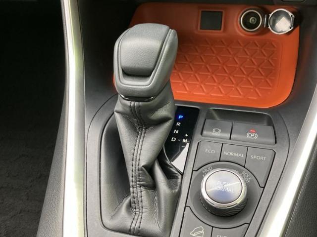 トヨタ RAV4 4WD  アドベンチャー 2019 sat-0066751-17