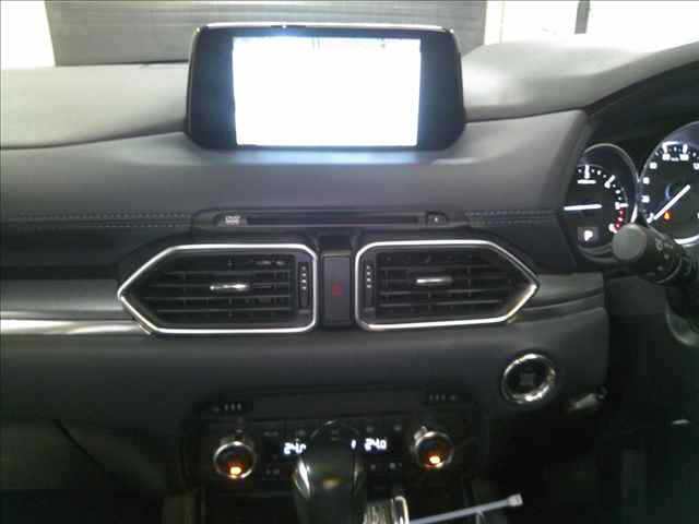 Mazda CX-8 2018-05 1076991-4