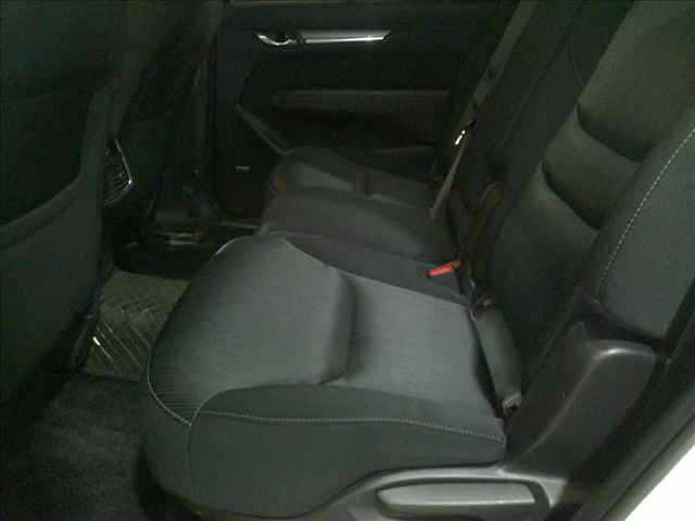 Mazda CX-8 2018-05 1076991-5