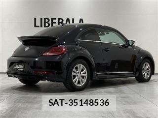 VolksWagen THE BEETLE 2019-05 7137268-14