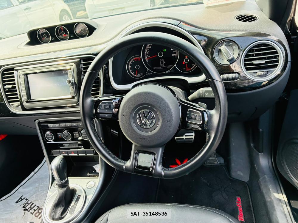 VolksWagen THE BEETLE 2019-05 7137268-10