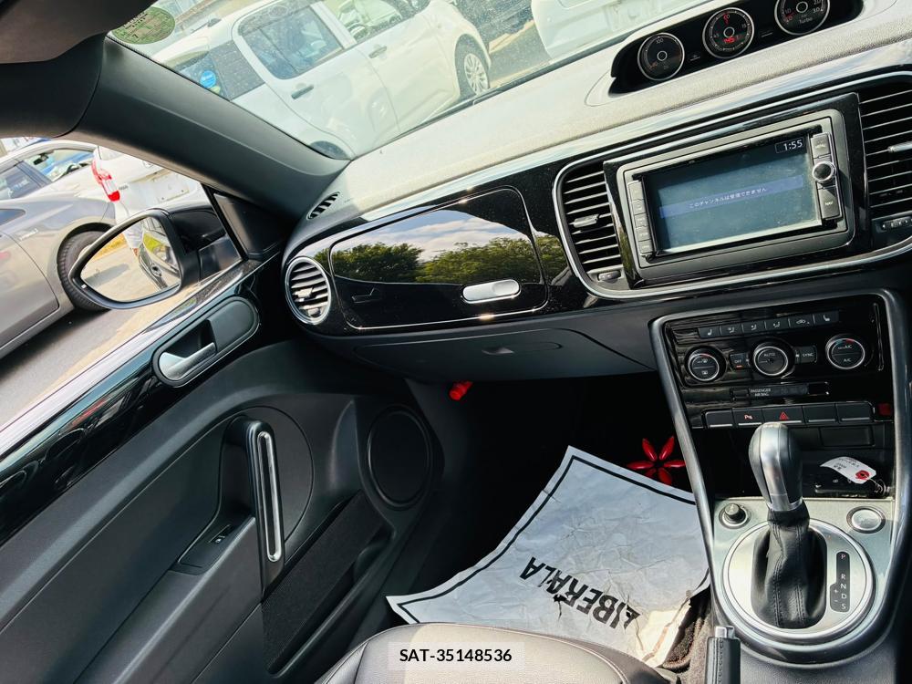 VolksWagen THE BEETLE 2019-05 7137268-14