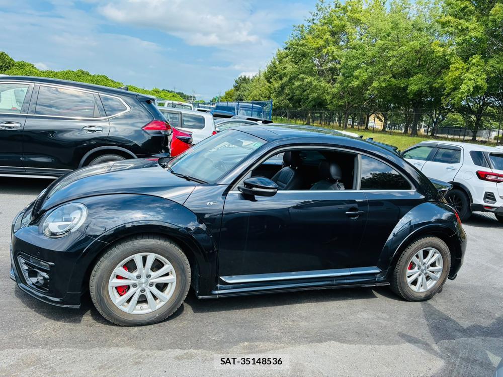 VolksWagen THE BEETLE 2019-05 7137268-1