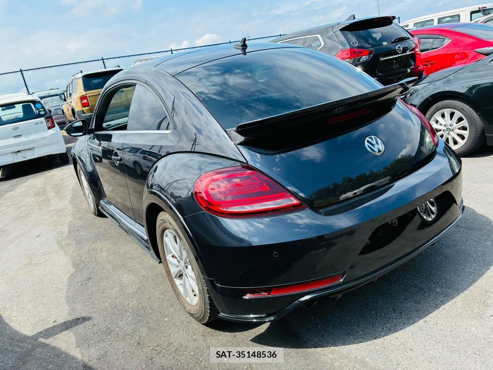 VolksWagen THE BEETLE 2019-05 7137268-2