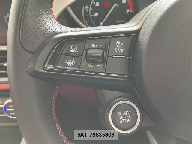ALFA ROMEO Giulia 2020-12 6610245-9
