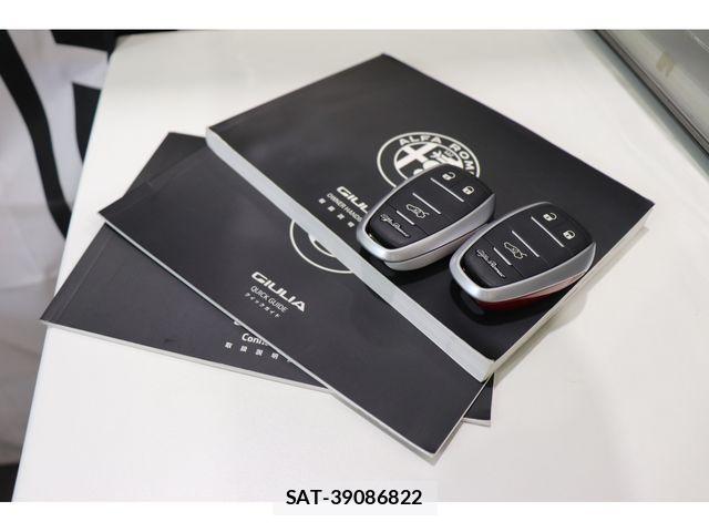 ALFA ROMEO Giulia 2019-02 7452580-19