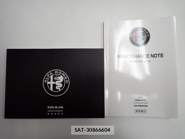 ALFA ROMEO Giulia 2017-12 7960336-25