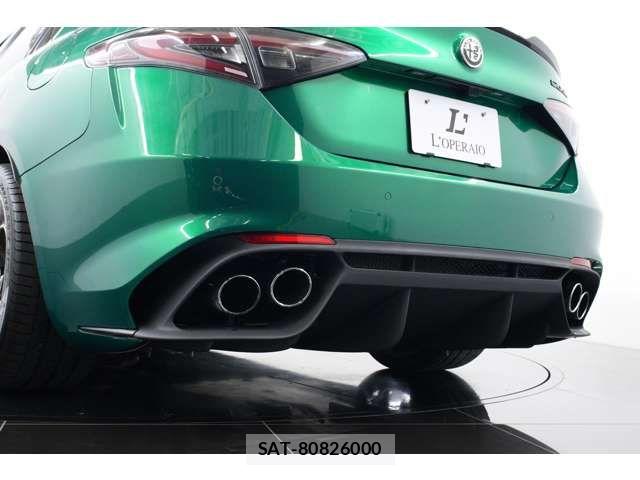 ALFA ROMEO Giulia 2024-06 8228736-10