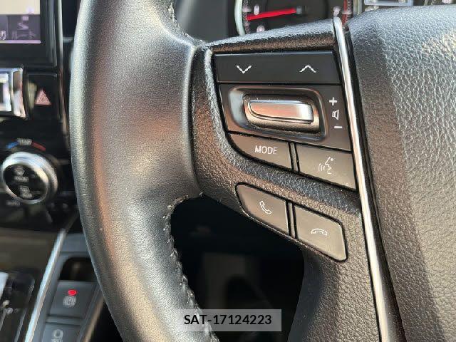 Toyota ALPHARD 2017-10 6008378-16