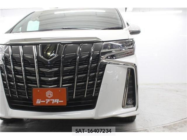 Toyota ALPHARD 2020-10 6610286-13
