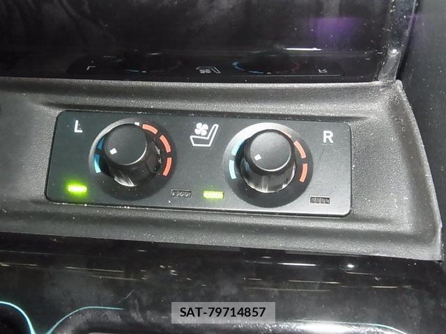 Toyota ALPHARD 2021-04 6683656-21