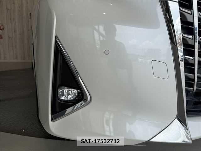 Toyota ALPHARD 2019-03 6715574-24