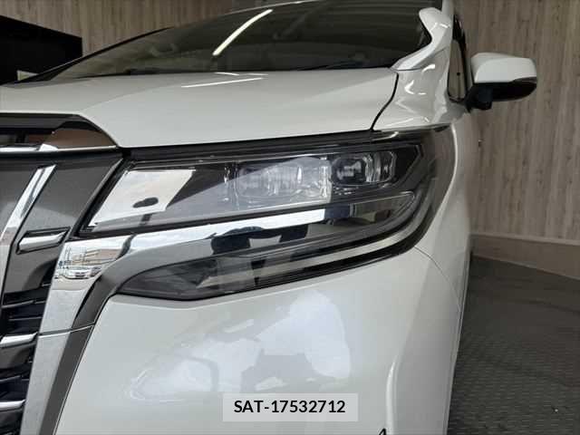 Toyota ALPHARD 2019-03 6715574-25