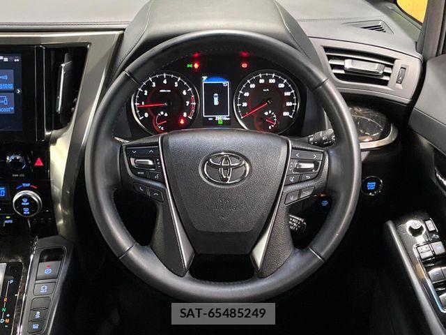 Toyota ALPHARD 2021-06 6813486-10