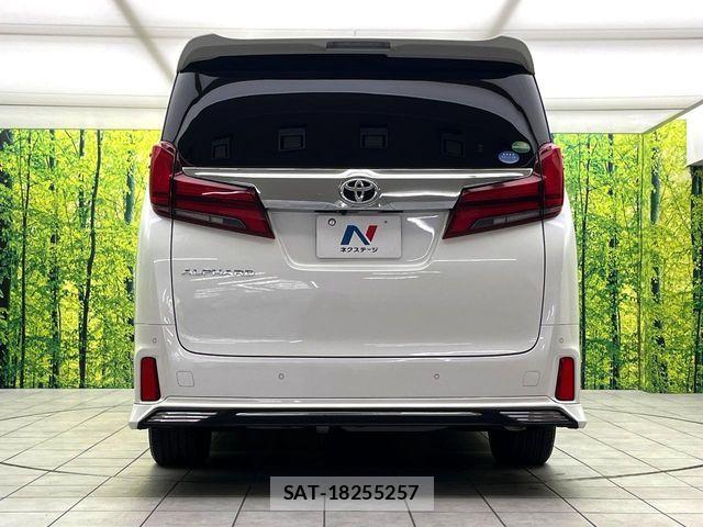 Toyota ALPHARD 2019-03 6813497-14