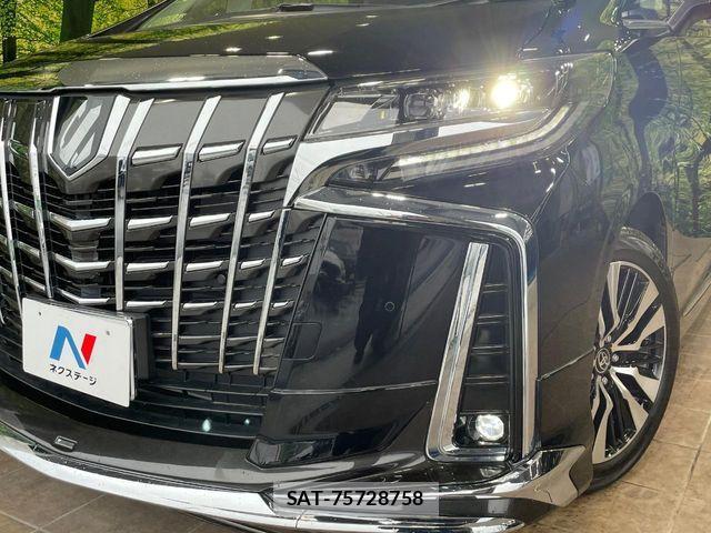 Toyota ALPHARD 2023-02 6901439-12
