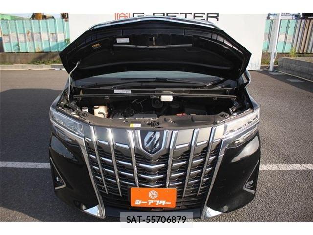 Toyota ALPHARD 2021-05 6987148-28