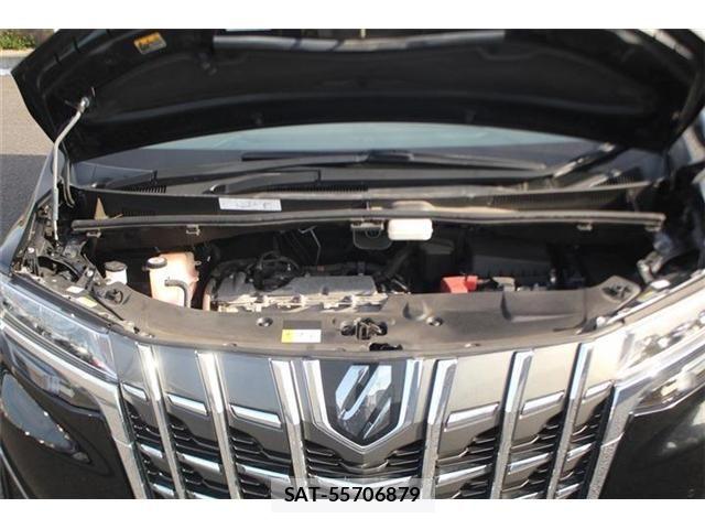 Toyota ALPHARD 2021-05 6987148-29