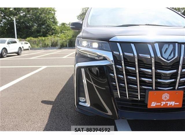 Toyota ALPHARD 2019-09 6987118-10
