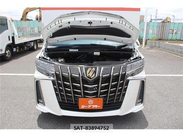 Toyota ALPHARD 2020-06 7214239-28