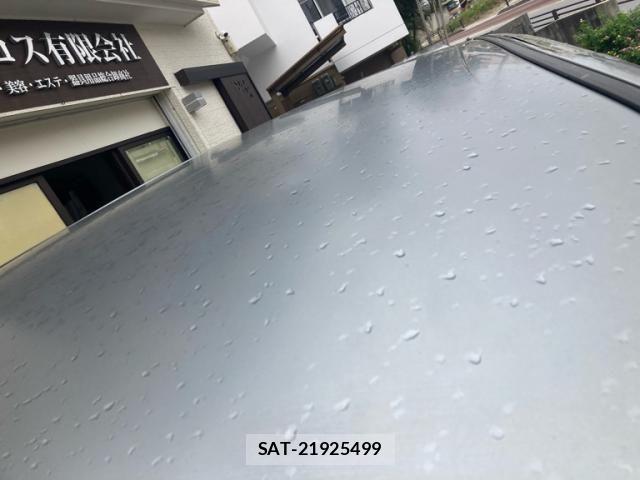 Toyota ALPHARD 2005-06 7214079-10