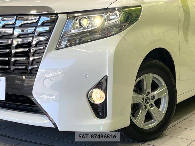 Toyota ALPHARD 2017-06 7214176-12