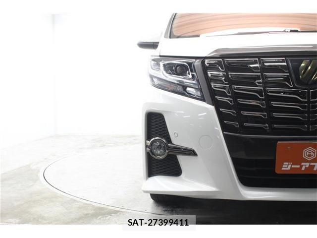 Toyota ALPHARD 2017-12 7249731-10