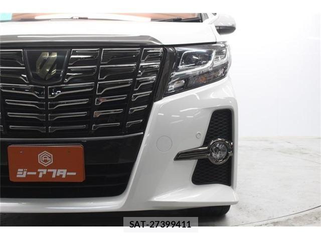 Toyota ALPHARD 2017-12 7249731-13