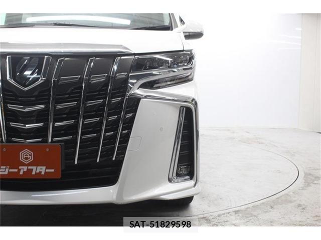 Toyota ALPHARD 2020-05 7249719-13