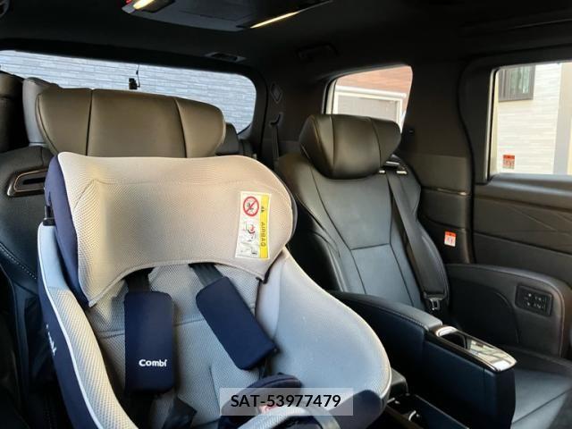 Toyota ALPHARD 2023-11 7249580-13