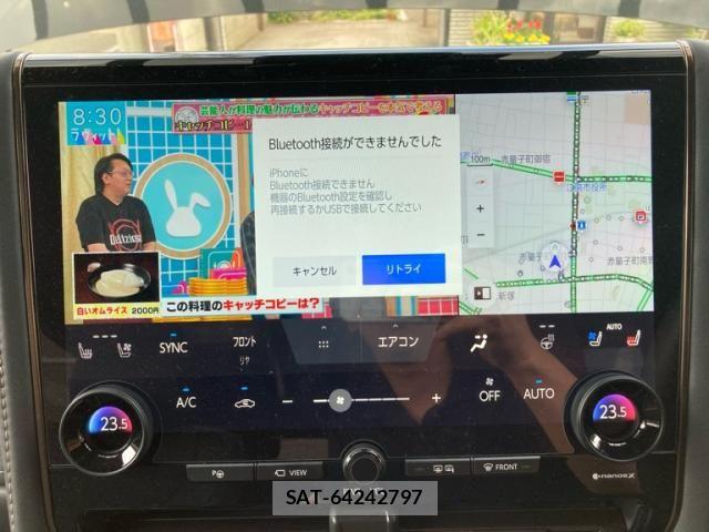 Toyota ALPHARD 2025-06 7271407-16