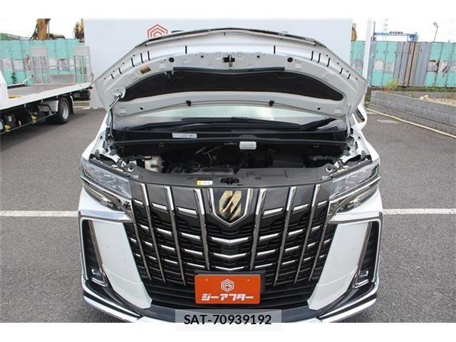 Toyota ALPHARD 2020-08 7325399-29