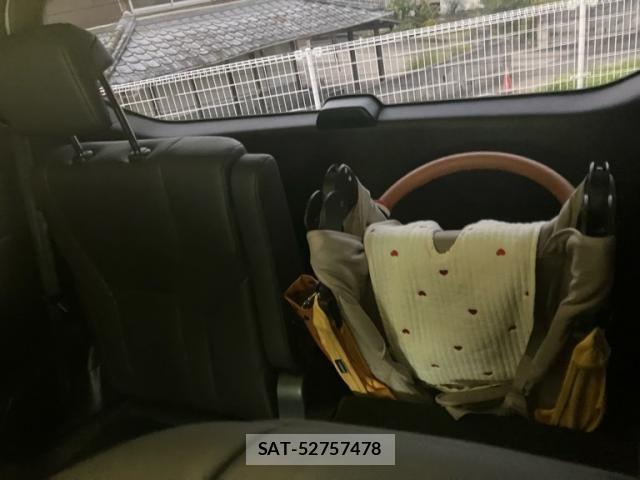 Toyota ALPHARD 2024-05 7325380-10