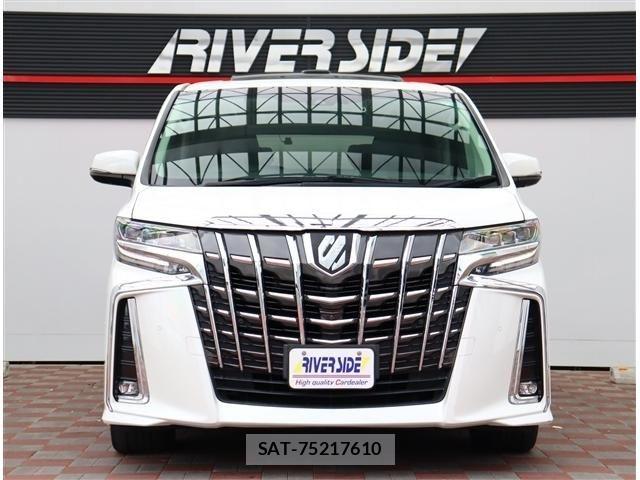 Toyota ALPHARD 2021-06 7325382-20