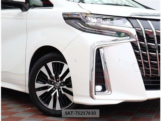 Toyota ALPHARD 2021-06 7325382-25