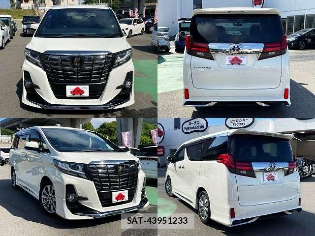 Toyota ALPHARD 2016-12 7325413-8
