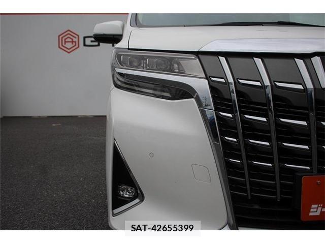 Toyota ALPHARD 2021-03 7325417-7