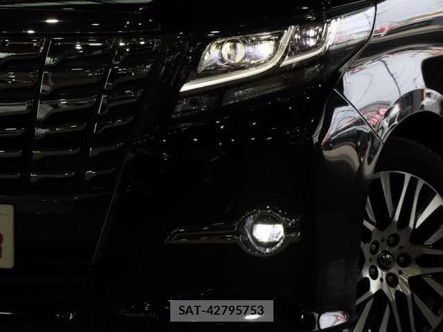 Toyota ALPHARD 2016-02 7356684-10