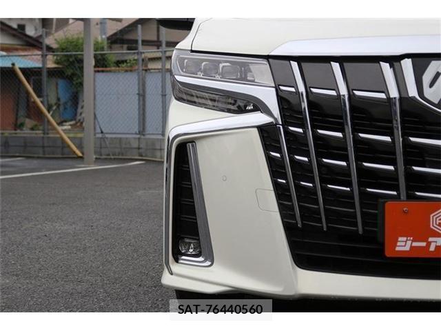 Toyota ALPHARD 2020-06 7356673-24