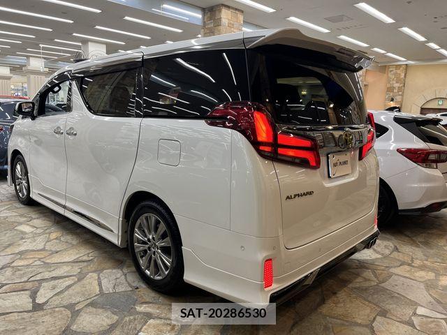 Toyota ALPHARD 2020-05 7452626-11