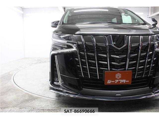 Toyota ALPHARD 2019-06 7452634-10