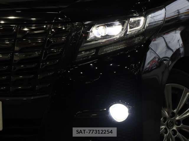 Toyota ALPHARD 2017-03 7452654-14