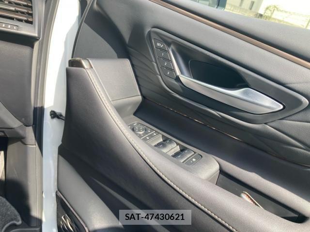 Toyota ALPHARD 2024-01 7499304-17